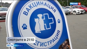 Смотрите в 21:10. В краевом управлении ветеринарии усилили контроль за домашними питомцами