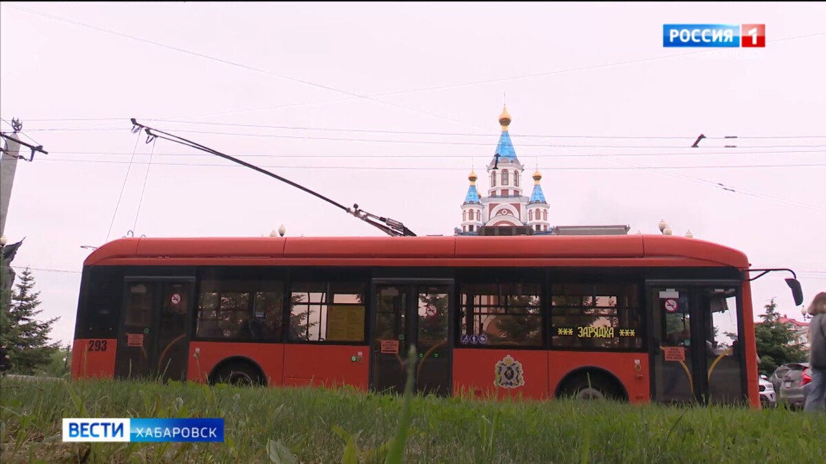 Видеосюжеты