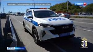 Крупную партию наркотиков обнаружили сотрудники Госавтоинспекции на мосту через Амур